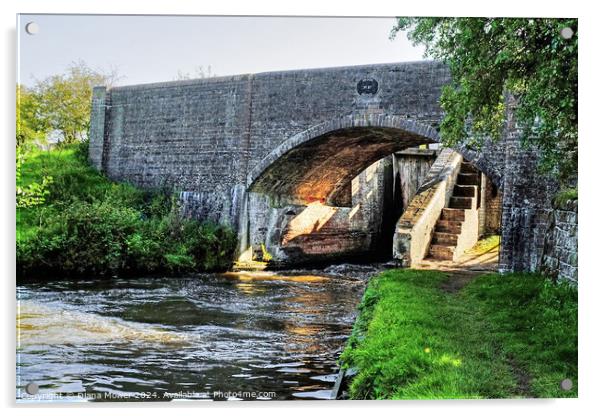 Broom Bridge Penkridge Canal Acrylic by Diana Mower