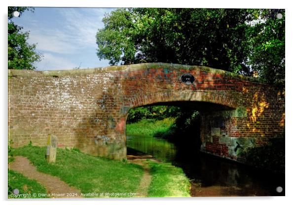 Lynehill Bridge No 83 Penkridge Acrylic by Diana Mower