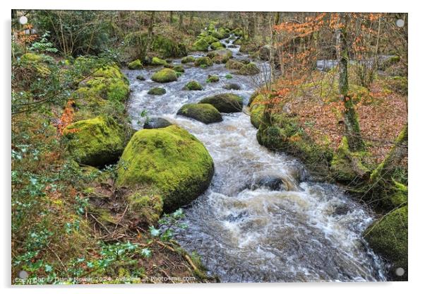  Becka Brook Dartmoor Devon Acrylic by Diana Mower