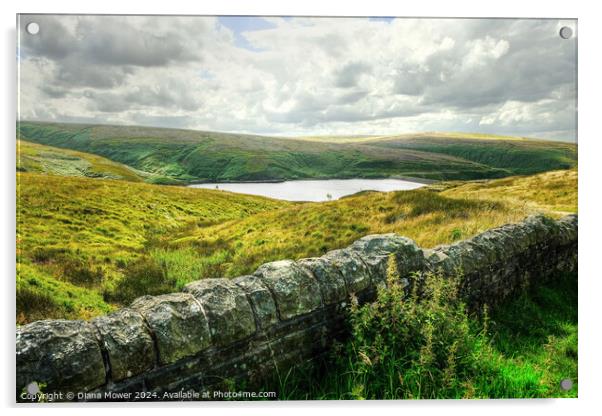 Wessenden Head Reservoir West Yorkshire Acrylic by Diana Mower