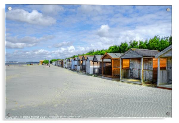 West Wittering beach Huts   Acrylic by Diana Mower