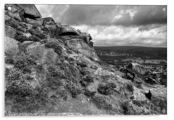 The Cow and Calf Seat Monochrome Acrylic by Diana Mower