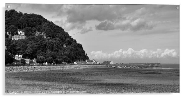 Minehead beach Somerset monochrome Acrylic by Diana Mower