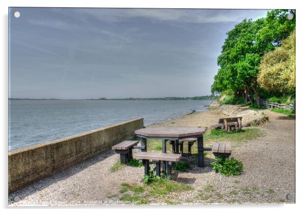  Shotley Picnic Area Suffolk Acrylic by Diana Mower