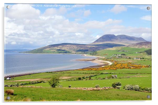 Isle of Arran Scotland Acrylic by Diana Mower