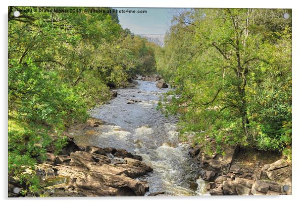 Penygarreg dam and stream Wales Acrylic by Diana Mower