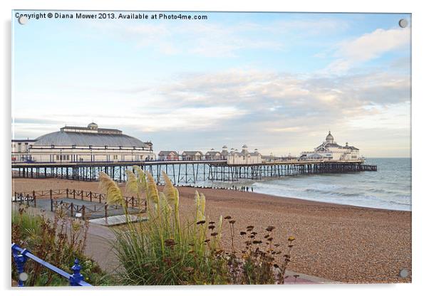 Eastbourne Beach and Pier Sussex Acrylic by Diana Mower