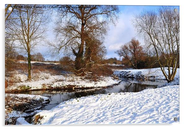 Bocking river in Winter Snow Acrylic by Diana Mower