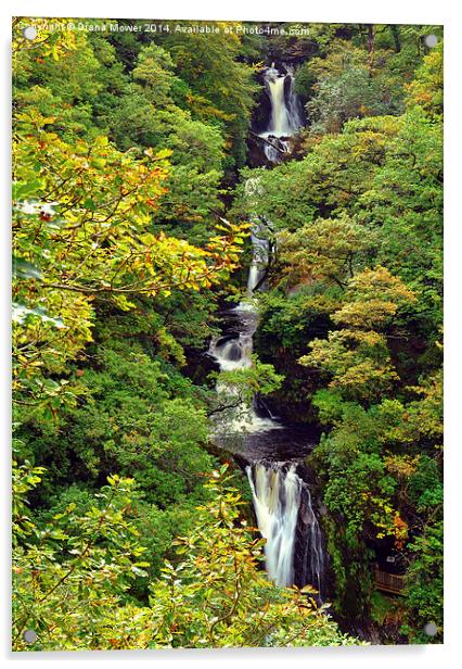 Pistyll Rhaeadr Waterfall Wales Acrylic by Diana Mower