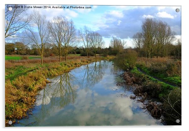 River Blackwater  near Maldon Essex Acrylic by Diana Mower