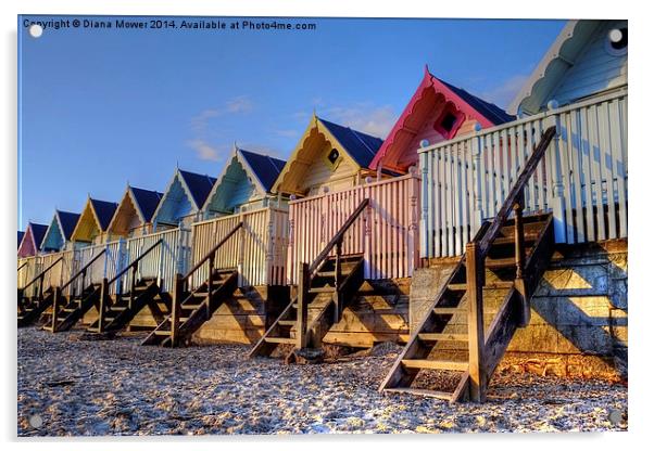 Mersea Evening light on Beach Huts Acrylic by Diana Mower