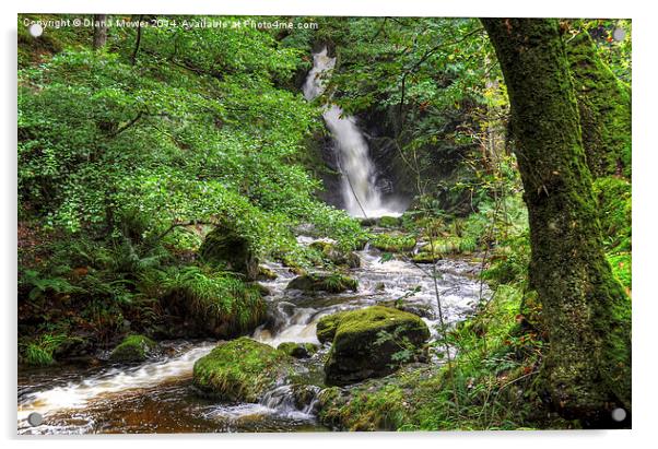 Dolgoch Falls Wales Acrylic by Diana Mower