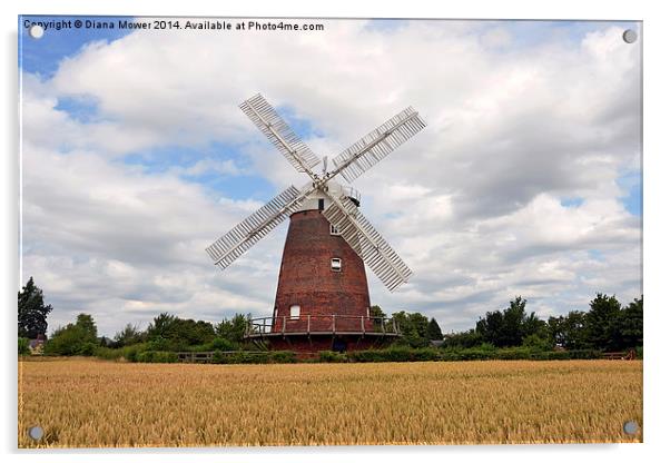 Thaxted Windmill Essex Acrylic by Diana Mower