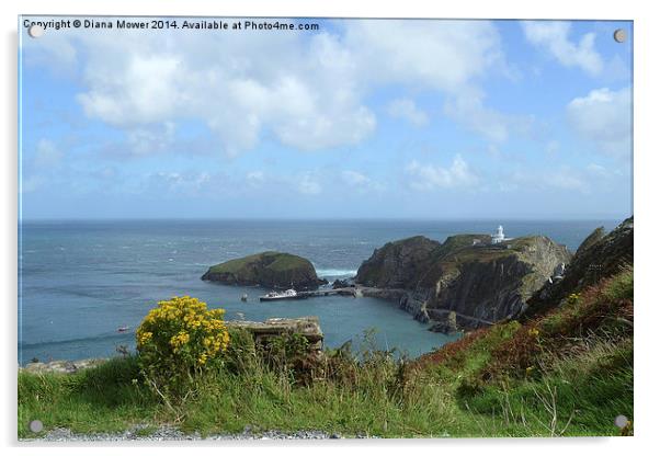 Lundy Island Acrylic by Diana Mower