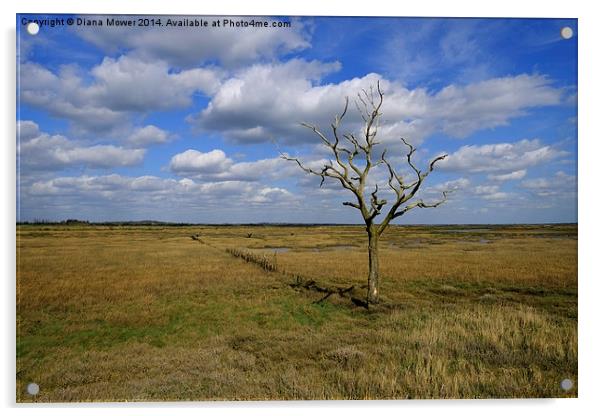 Tollesbury Marshes Acrylic by Diana Mower