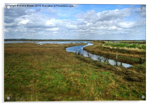 Tollesbury Marshes Acrylic by Diana Mower