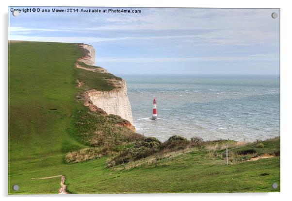 Beachy Head Acrylic by Diana Mower