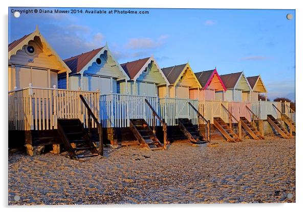 Mersea Beach Huts Acrylic by Diana Mower