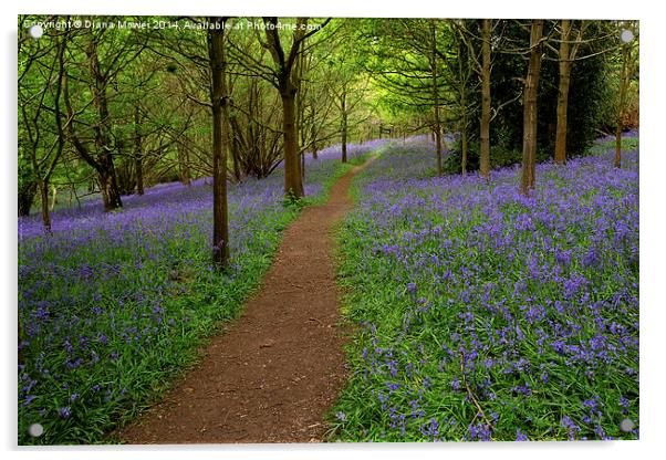 Bluebells Acrylic by Diana Mower