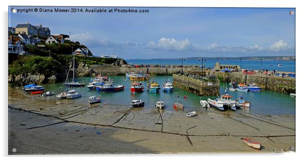 Newquay Harbour Acrylic by Diana Mower