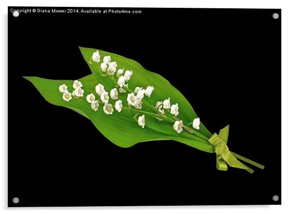 Lily of the Valley Acrylic by Diana Mower