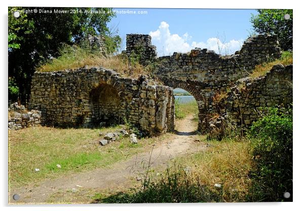 Butrint Albania Acrylic by Diana Mower