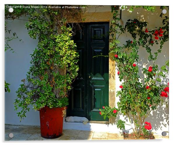  Mediterranean Garden Acrylic by Diana Mower