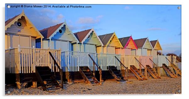  Mersea Beach Huts Acrylic by Diana Mower