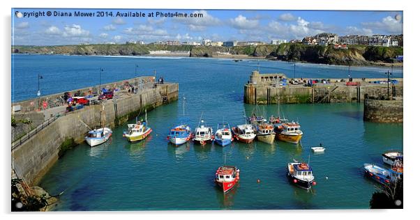  Newquay Harbour  Acrylic by Diana Mower