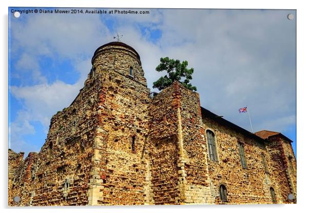  Colchester Castle Acrylic by Diana Mower