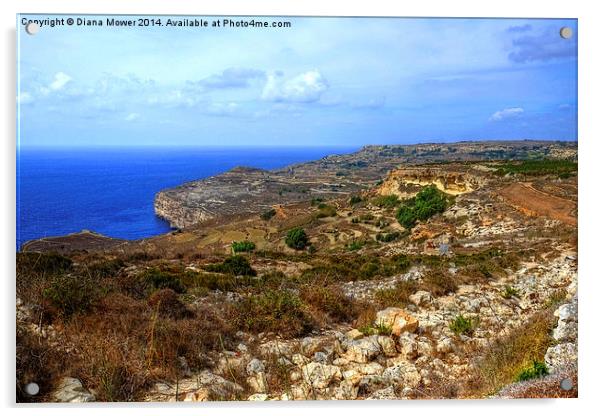  Dingli Cliffs Malta Acrylic by Diana Mower