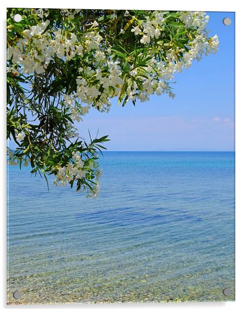  Mediterranean Beach Acrylic by Diana Mower