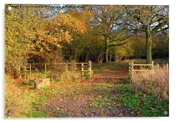  Hatfield Forest Acrylic by Diana Mower