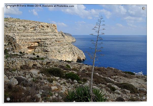  Blue Grotto Malta Acrylic by Diana Mower