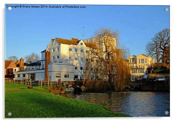  Sudbury Mill Acrylic by Diana Mower