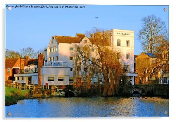 Sudbury Mill Suffolk  Acrylic by Diana Mower