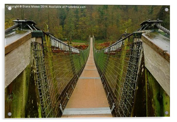  Biblins Bridge Symonds Yat Acrylic by Diana Mower