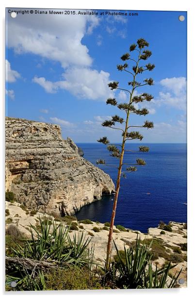  Blue Grotto Coast Malta  Acrylic by Diana Mower
