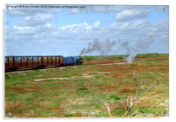  Dungeness Train Acrylic by Diana Mower