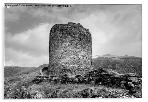  Dolbadarn Castle Acrylic by Diana Mower