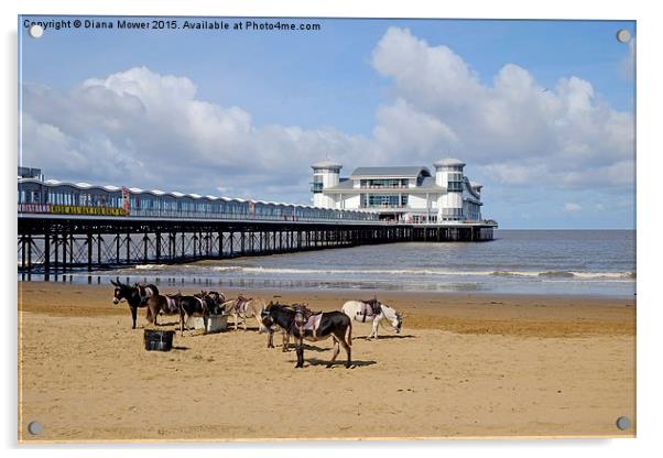  Weston Super Mare Donkeys on the Beach Acrylic by Diana Mower
