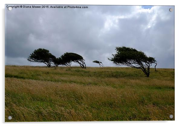  Brean Down   Acrylic by Diana Mower