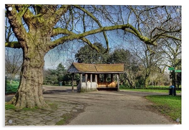  Finsbury Park Acrylic by Diana Mower