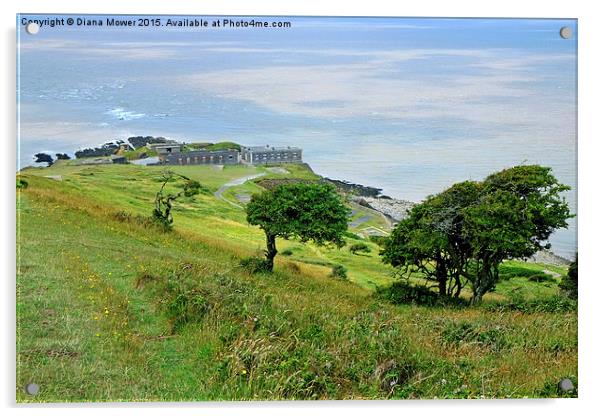  Brean Down Fort Acrylic by Diana Mower