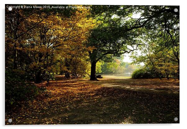  Epping Forest in Autumn Acrylic by Diana Mower