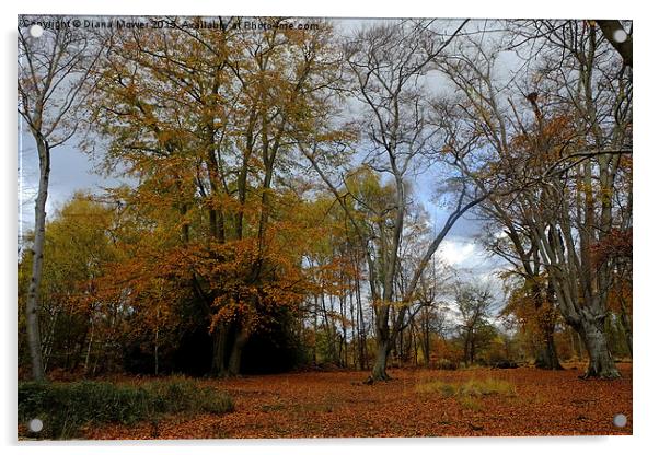  Epping Forest in Autumn Acrylic by Diana Mower