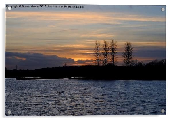  Abberton Reservoir Sunset Acrylic by Diana Mower
