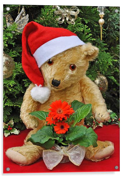 Christmas Bear  Acrylic by Diana Mower