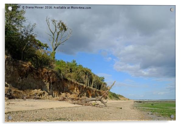 East Mersea Beach Acrylic by Diana Mower