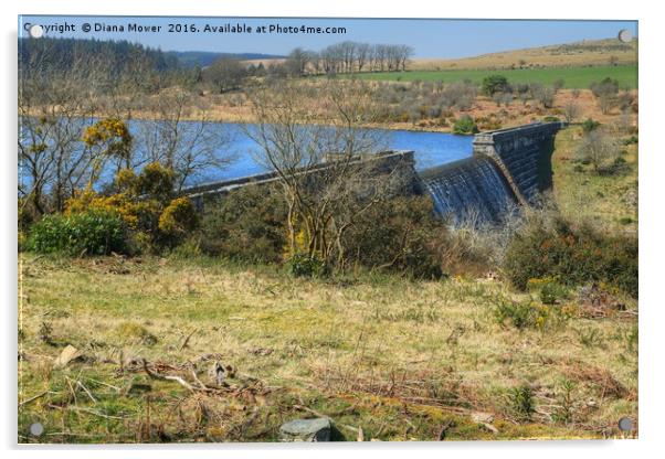 Fernworthy Reservoir Acrylic by Diana Mower